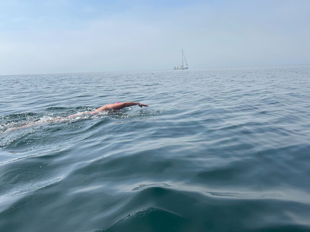 wen erh hso relaxed swimming crossing oresund