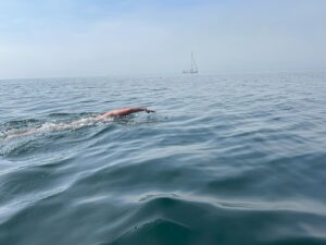 wen erh hso relaxed swimming crossing oresund