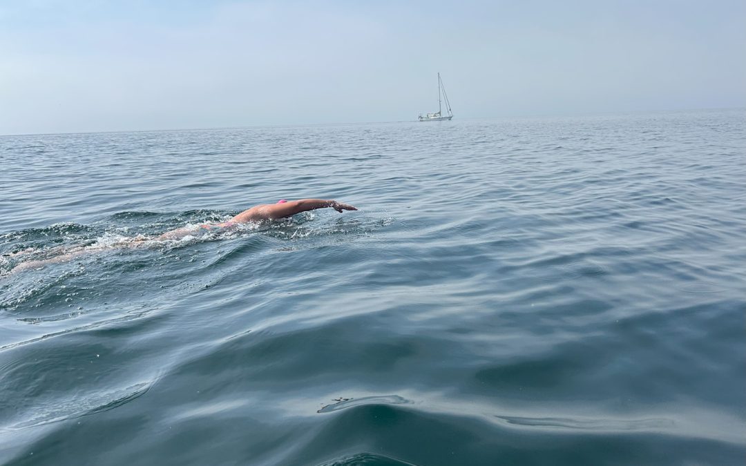 wen erh hso relaxed swimming crossing oresund