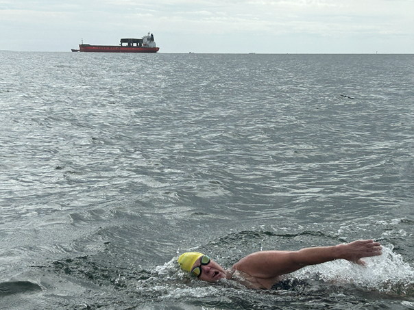 Karen lundgren view ships swimoresund