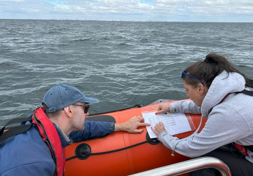 crew looking at feeding plan nils young