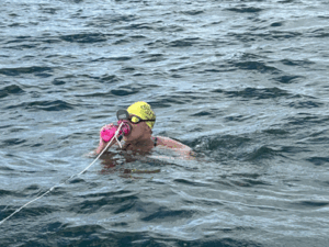 Karen lundgren oresund feeding