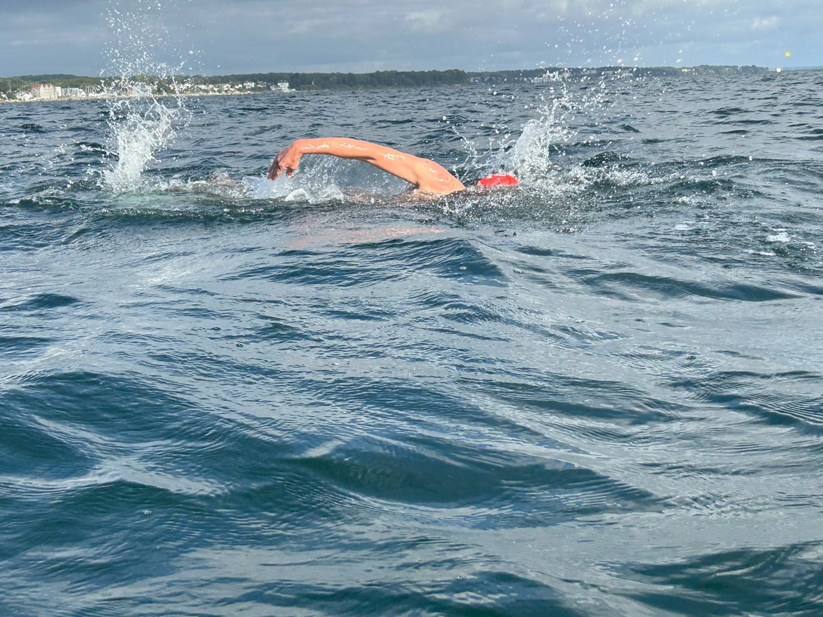 Nils young background bellevue beach denmark