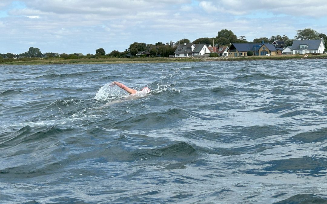 nils young barseback swimoresund finish