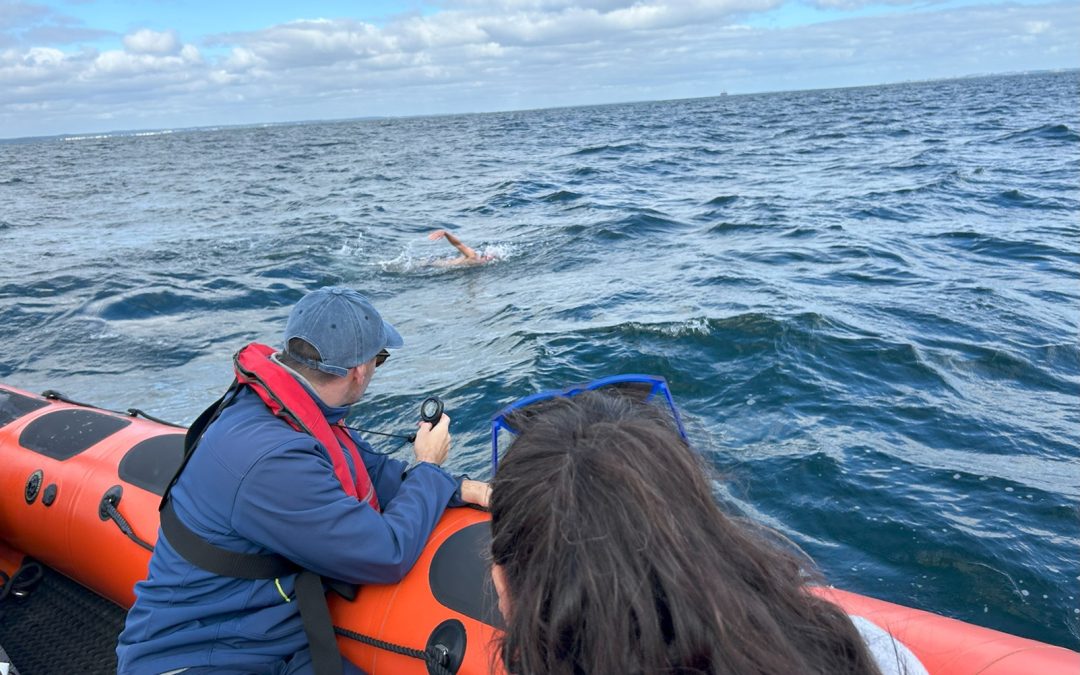 nils young crew take times