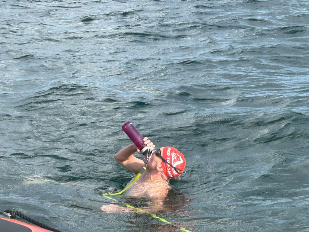 Nils young feeding swim oresund