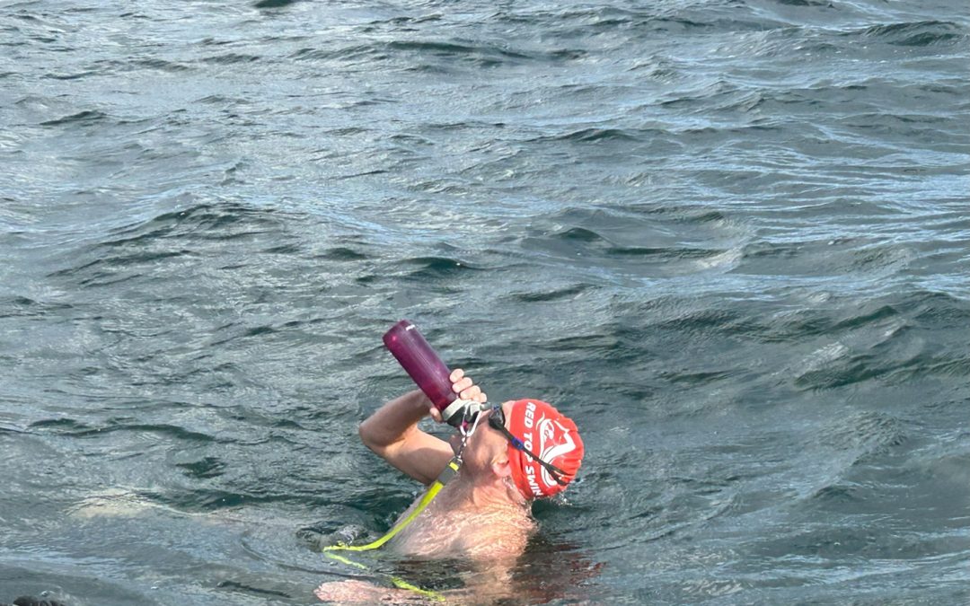 nils young feeding swim oresund