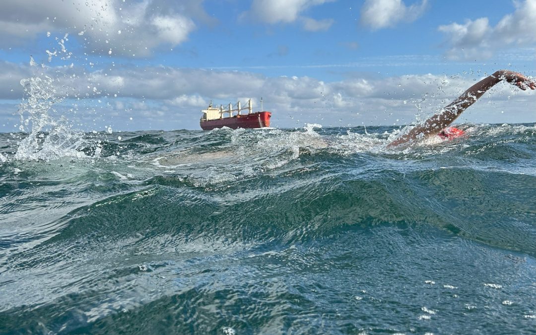 nils young swimoresund big ship