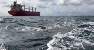 Nils young swimoresund big waves from carrier