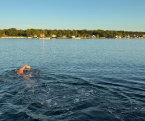 Henry stokholm danish shore swimoresund