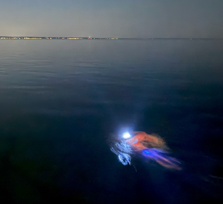 Henry stokholm glowing lights