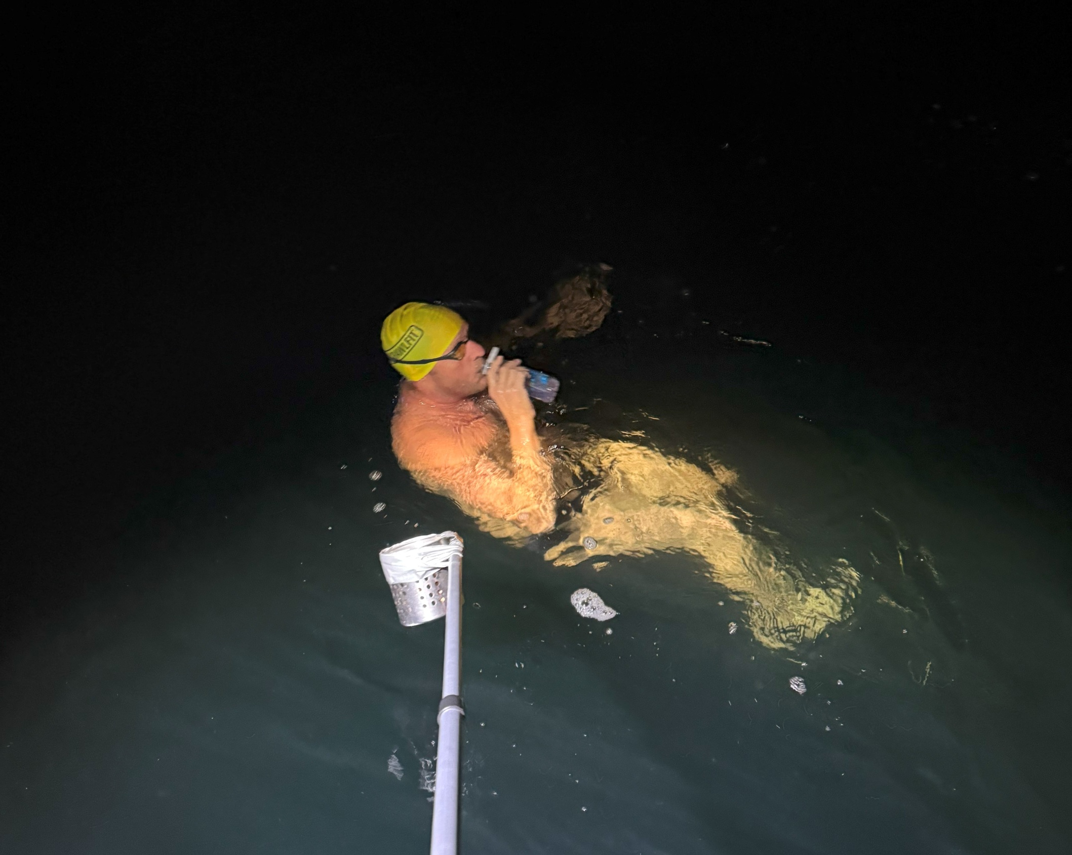 Henry stokholm night feed