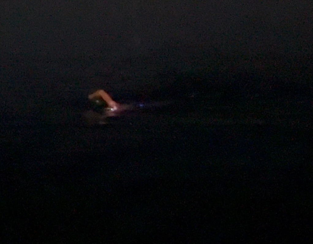 Henry stokholm night swim