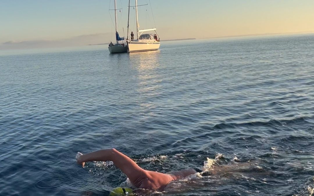 henry stokholm sailboat