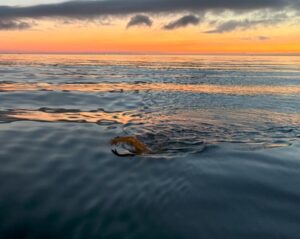 Henry stokholm sunrise glassy water