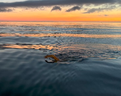 Henry stokholm sunrise glassy water